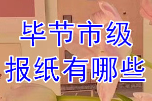 畢節市級報紙有哪些